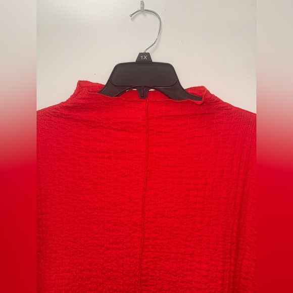 Vibrant Red Textured Dress - Picture 5 of 6